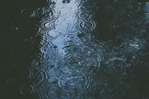 alex dukhanov zxzqk7777r4 unsplash